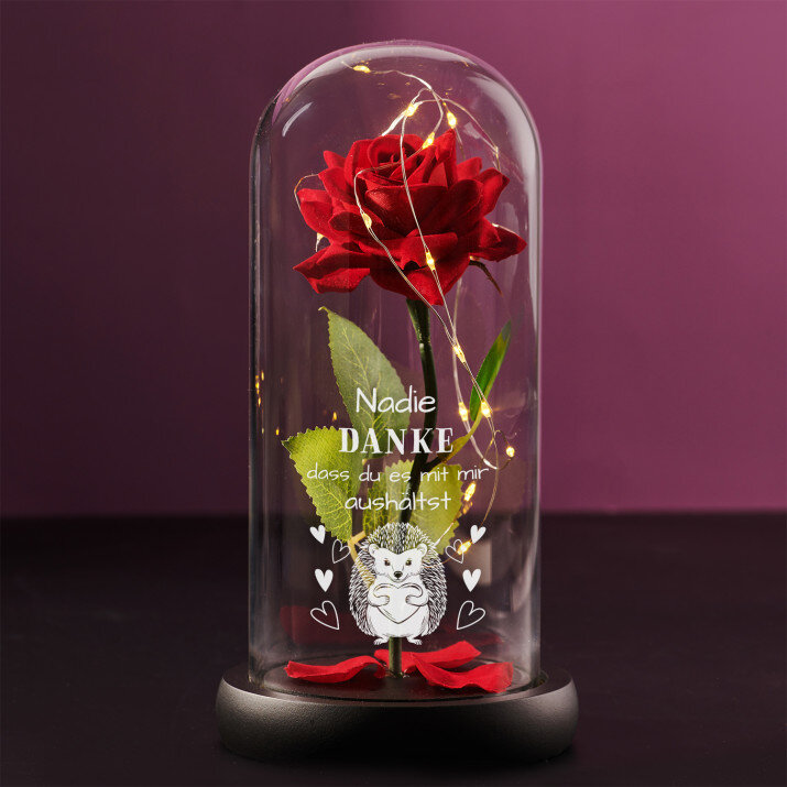 Danke, dass du es mit mir aushältst - Ewige Rose Im Glas