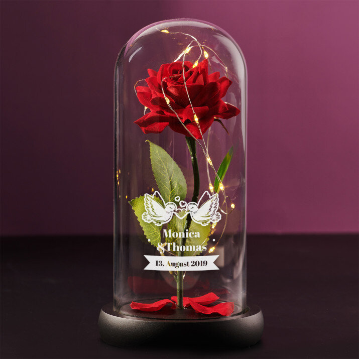 Tauben - Ewige Rose Im Glas
