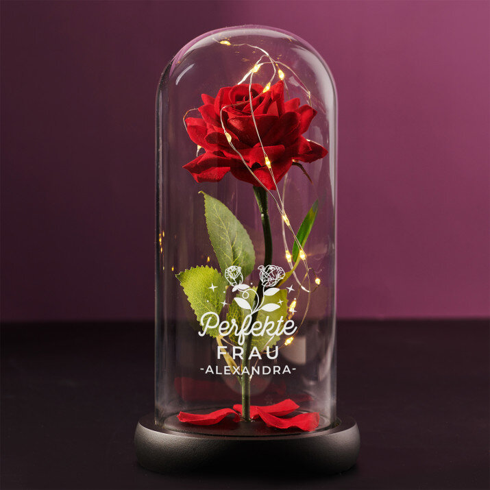 Perfekte frau - Ewige Rose Im Glas