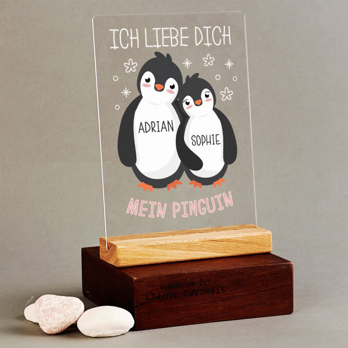 Mein Pinguin - Druck auf Acrylglas