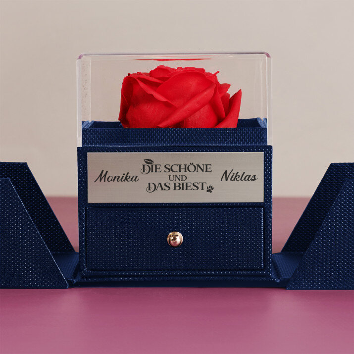 Die Schöne und das Biest - Ewige Rose in einer Schachtel