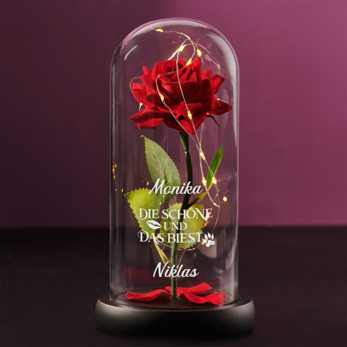 Die Schöne und das Biest - Ewige Rose Im Glas