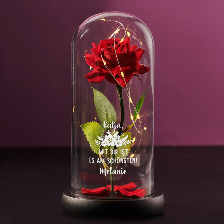 Freundinneni - Ewige Rose Im Glas