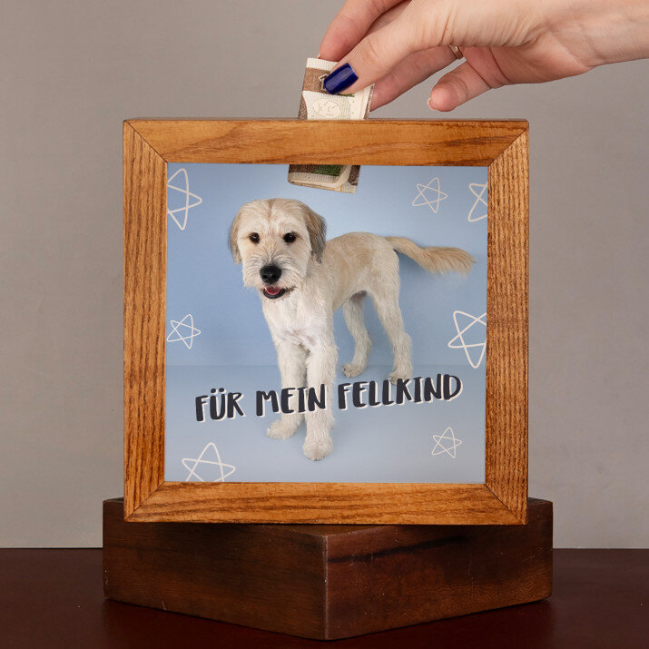 Für mein Fellkind - Holzspardose