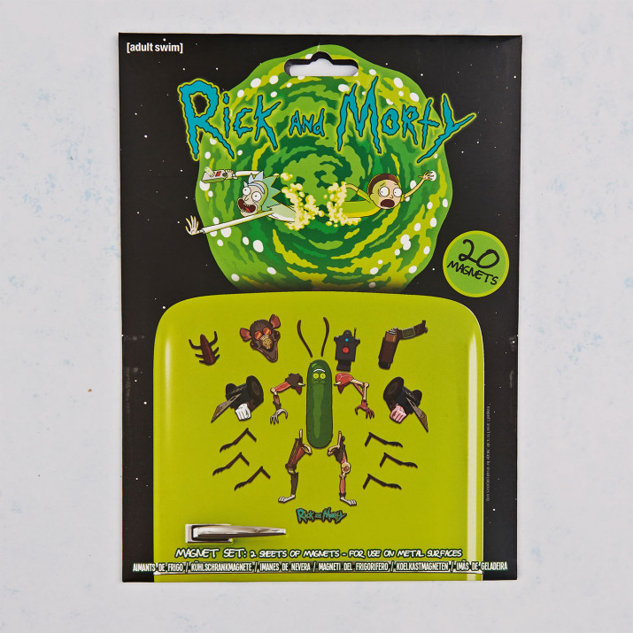 Rick and Morty Magnet Set