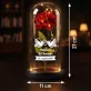 Tauben - Ewige Rose Im Glas Tauben - Ewige Rose Im Glas