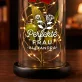 Perfekte frau - Ewige Rose Im Glas Perfekte frau - Ewige Rose Im Glas