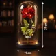 Nicht von dieser Welt - Ewige Rose Im Glas
