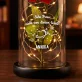 Nicht von dieser Welt - Ewige Rose Im Glas