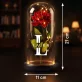 Initiale Name - Ewige Rose Im Glas Initiale Name - Ewige Rose Im Glas