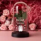 Geschenkset Für die Freundin 2 mit Ewiger Rose, Schokolade und Badesalz Geschenkset Für die Freundin 2 mit Ewiger Rose, Schokolade und Badesalz
