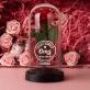 Geschenkset für die zukünftige Oma 2 mit Ewiger Rose, Schokolade und Badesalz Geschenkset für die zukünftige Oma 2 mit Ewiger Rose, Schokolade und Badesalz