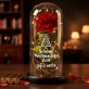 Schöne Weihnachtszeit - Ewige Rose Im Glas Schöne Weihnachtszeit - Ewige Rose Im Glas