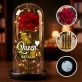 Queen - Ewige Rose Im Glas