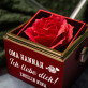 Oma, ich liebe dich - Schmuckkästchen mit einer Rose
