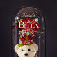 Sei meine bella - Ewige Rose mit Teddybär