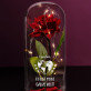 Ganze Welt - Ewige Rose Im Glas