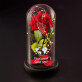 Ganze Welt - Ewige Rose Im Glas