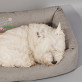 Komm und streichle mich - Hundebett