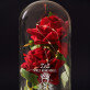 Zeit spielt keine Rolle - Ewige Rose Im Glas