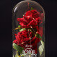 Perfekt seit - Ewige Rose Im Glas