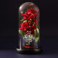 Perfekt seit - Ewige Rose Im Glas