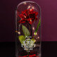 Perfekt seit - Ewige Rose Im Glas