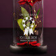 Limitierte Auflage - Ewige Rose Im Glas