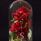 Elegant - Ewige Rose Im Glas