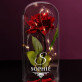 Elegant - Ewige Rose Im Glas