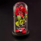 Elegant - Ewige Rose Im Glas