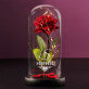 Elegant - Ewige Rose Im Glas