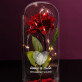 fingerprints - Ewige Rose Im Glas