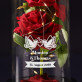 Tauben - Ewige Rose Im Glas
