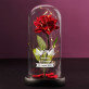 Tauben - Ewige Rose Im Glas