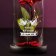 Tauben - Ewige Rose Im Glas