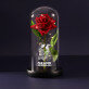 Grafik aus Ihrem Foto - Ewige Rose Im Glas