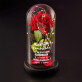 Liebesgeschichte - Ewige Rose Im Glas