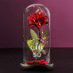 Je älter - Ewige Rose Im Glas