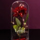 Name - Ewige Rose Im Glas