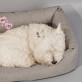 Name 2 hunde 2 - Hundebett