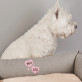 Name 2 hunde 2 - Hundebett