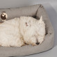 Name 2 hunde - Hundebett