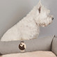 Name 2 hunde - Hundebett