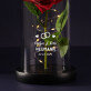 Namen + Datum - Ewige Rose Im Glas