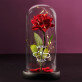 Namen Unendlichkeit - Ewige Rose Im Glas