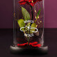 Namen Unendlichkeit - Ewige Rose Im Glas