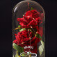 Namen Unendlichkeit - Ewige Rose Im Glas