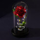 Namen Unendlichkeit - Ewige Rose Im Glas