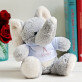Initiale Name floral - Kuscheltier